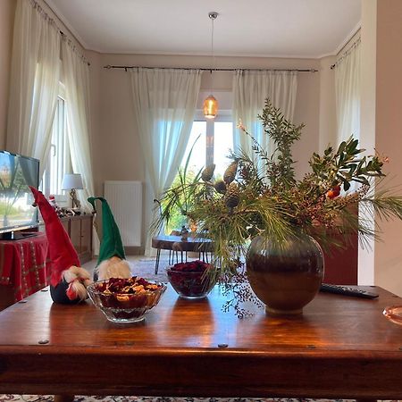 Brina'S Luxury Apartments Agioi Apostoloi  外观 照片